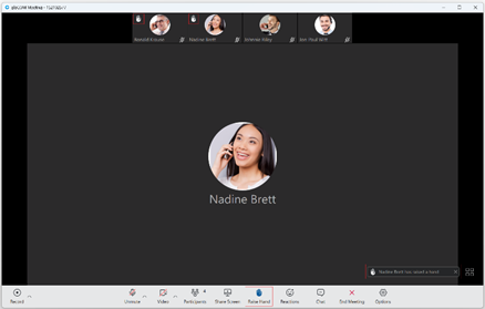 A screenshot of a video call

AI-generated content may be incorrect.